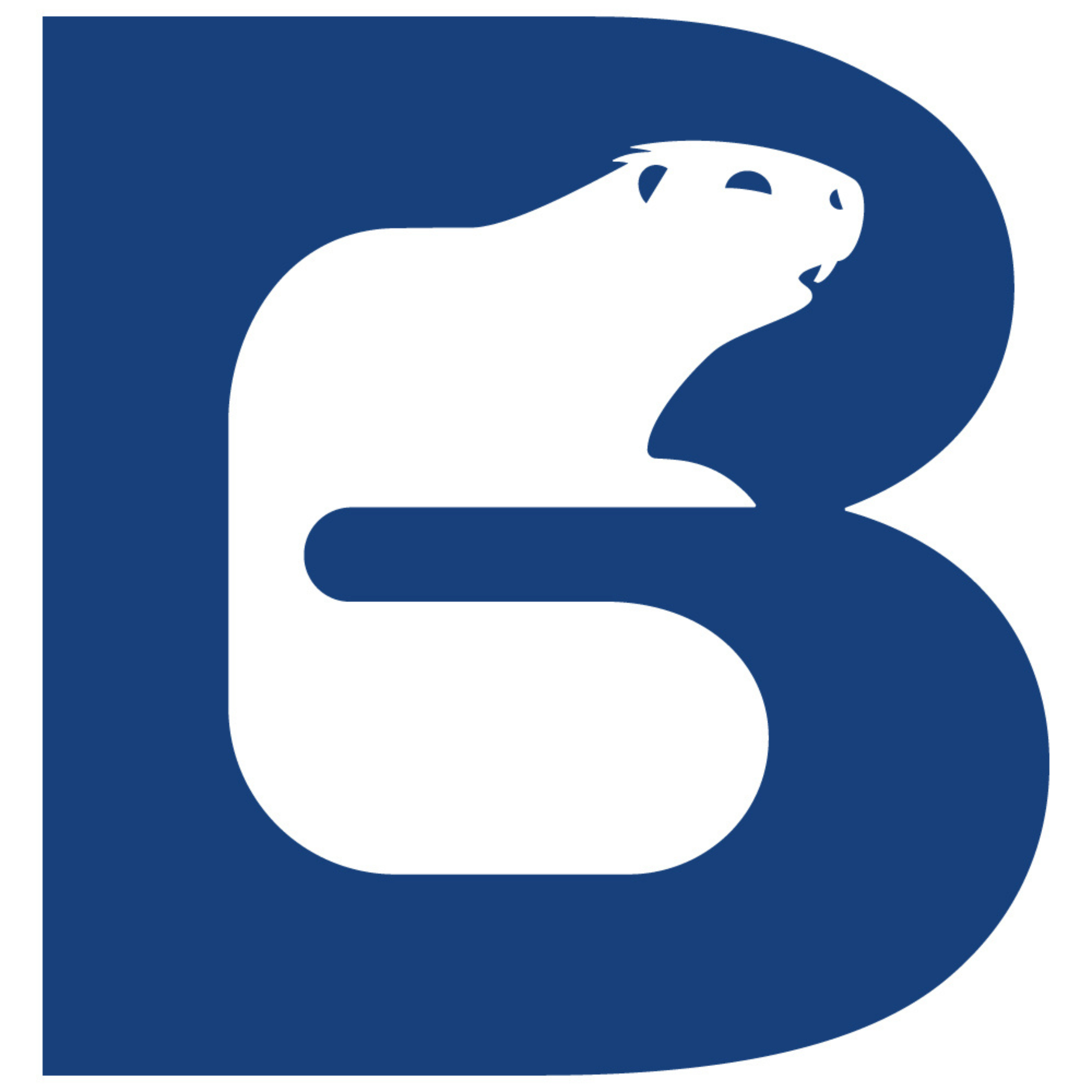 Beava Missing Product Image